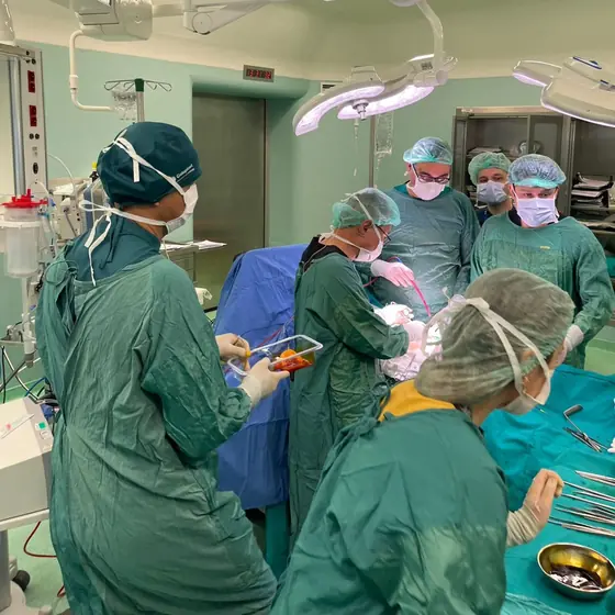 The surgical team at work in the operating theatre