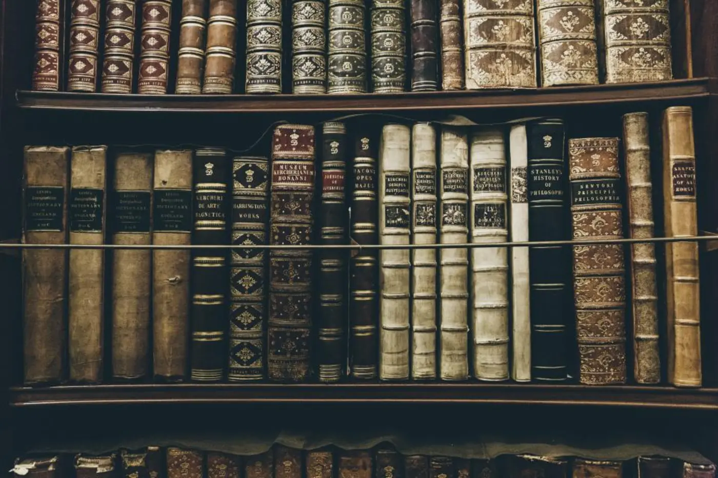 Shelves of old leather-bound books