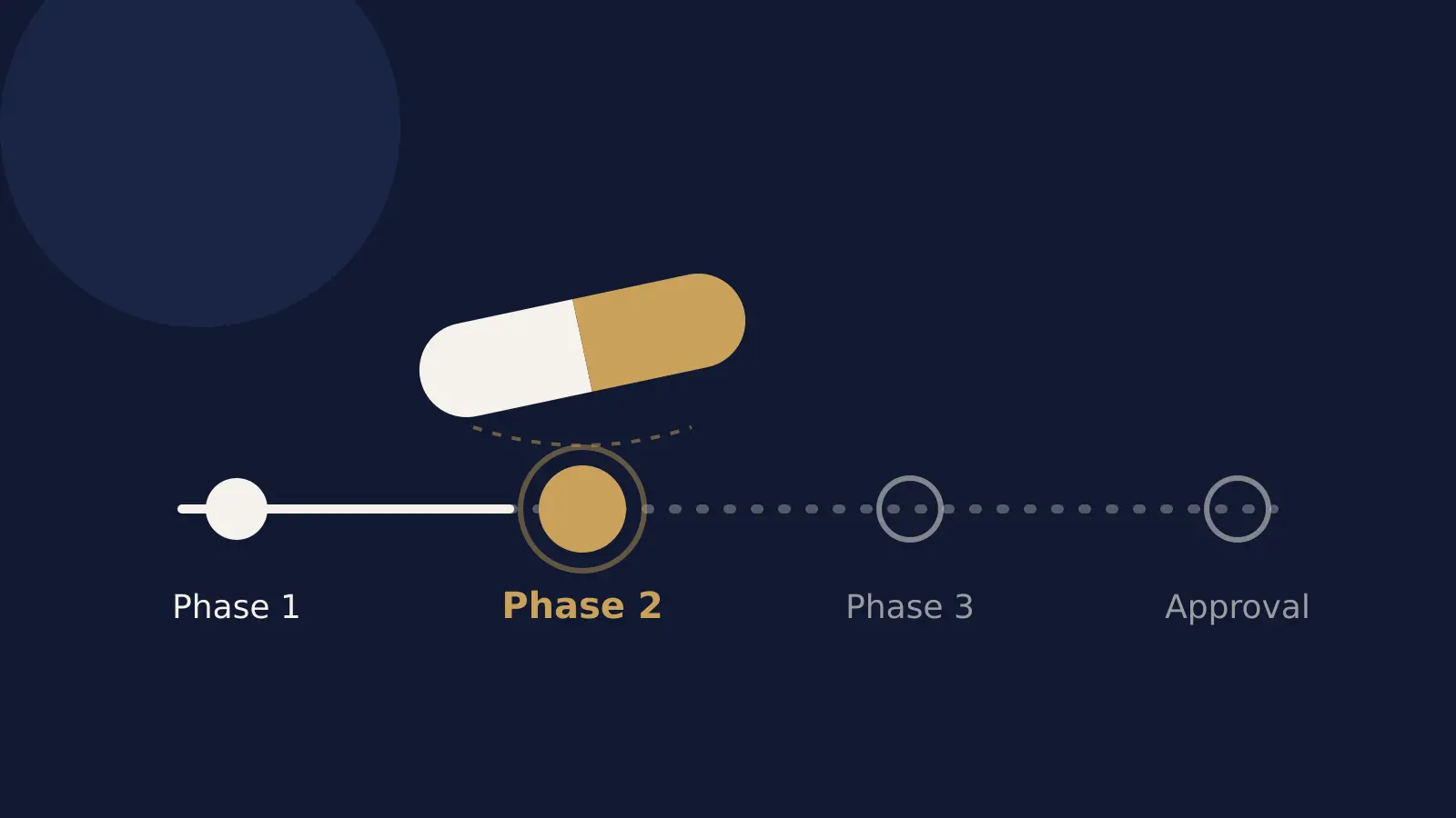 Illustration of a capsule on a track with four stops labelled Phase 1, Phase 2, Phase 3 and Approval. Phase 2 is highlighted; the later stops are faded outlines.